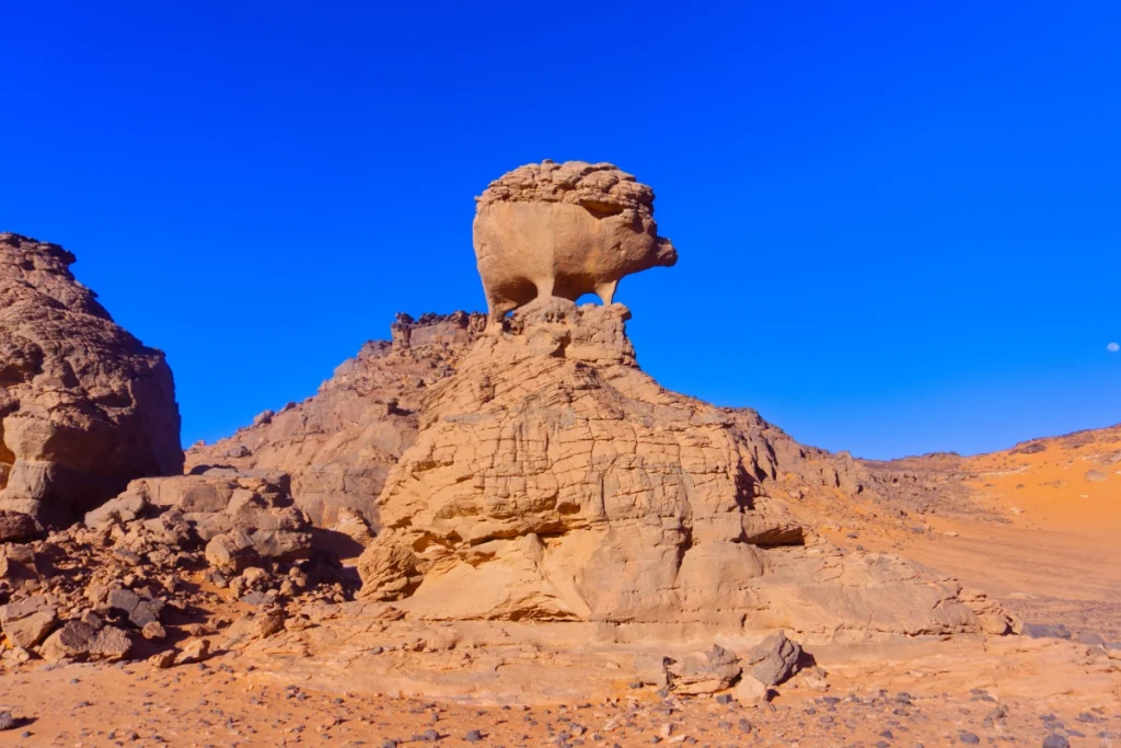 Formation rocheuse en forme d'animal dans la Tadrart Rouge, Algérie